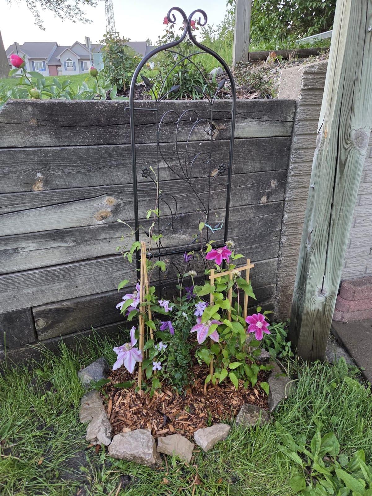 VEVOR Garden Trellis for Climbing Plants, 87 x 20 in, 4 Packs Rustproof Metal Garden Flower Trellis, Outdoor Climbing Rose Cucumbers Support, Decorative Clematis Trellis for Courtyards Lawns customer photo 1