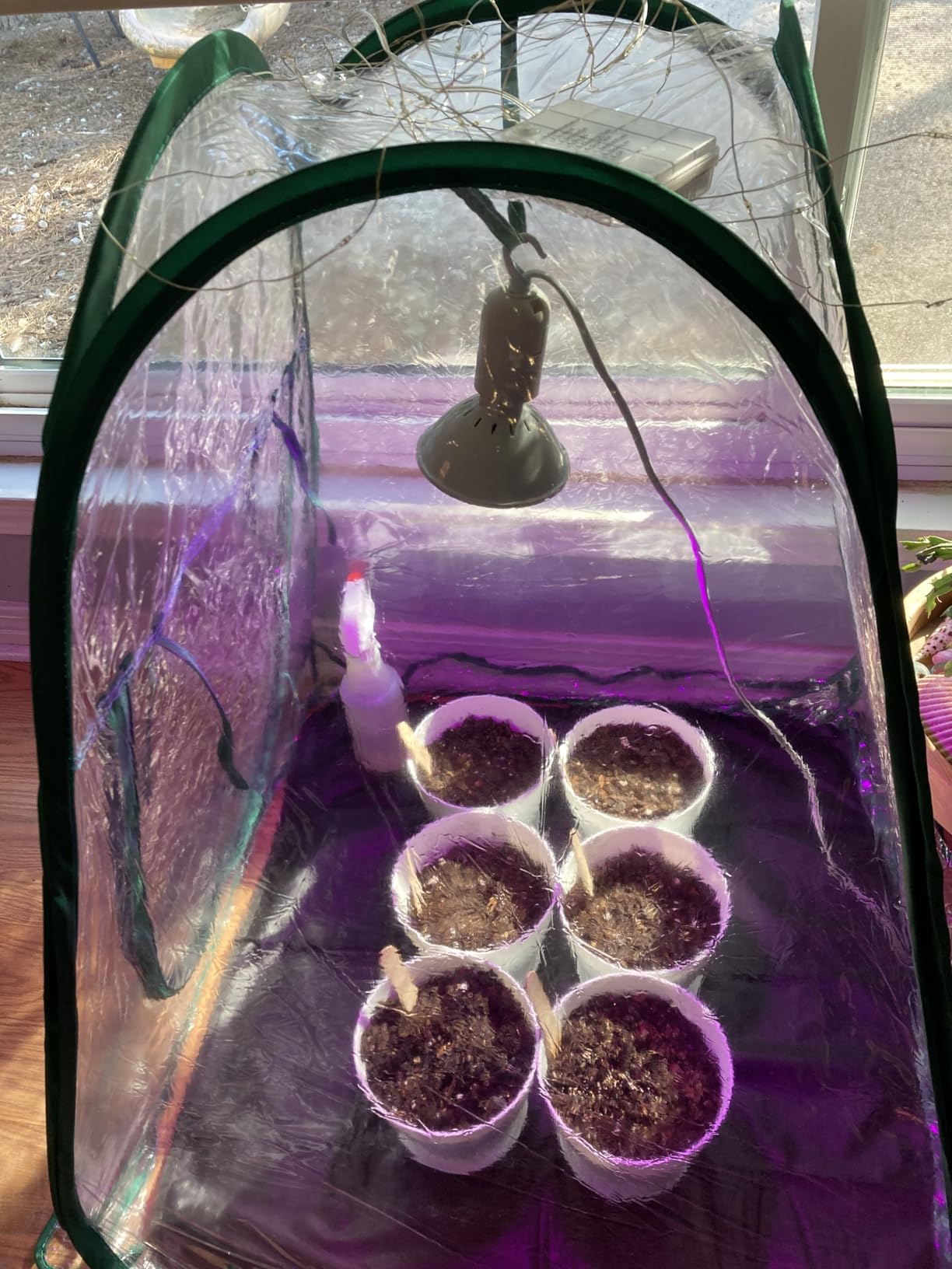 Meonum Mini Greenhouse Indoor with 10W Grow Light and PEVA Mat, 1 Pack | 27