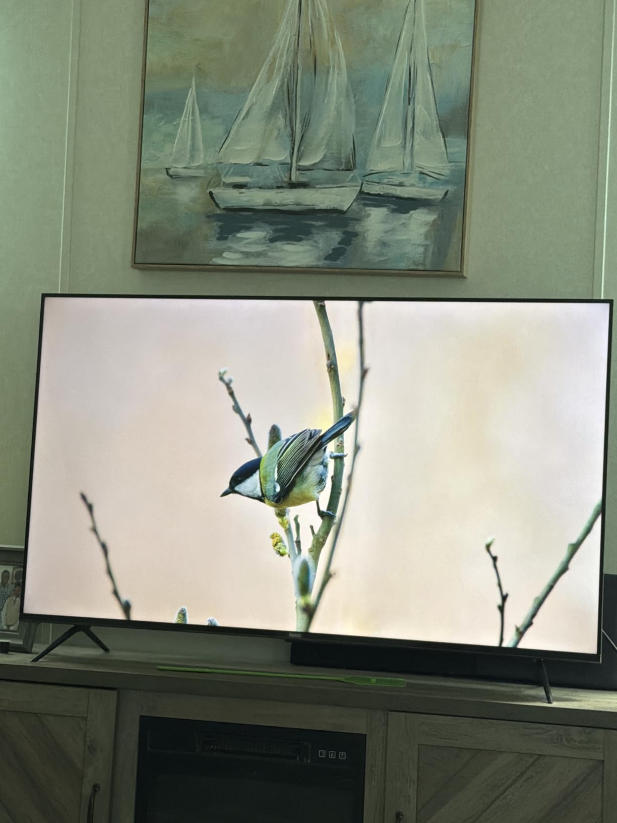 Roku 55-Inch Plus Series Smart TV - 4K QLED Mini-LED TV - RokuTV customer photo 2
