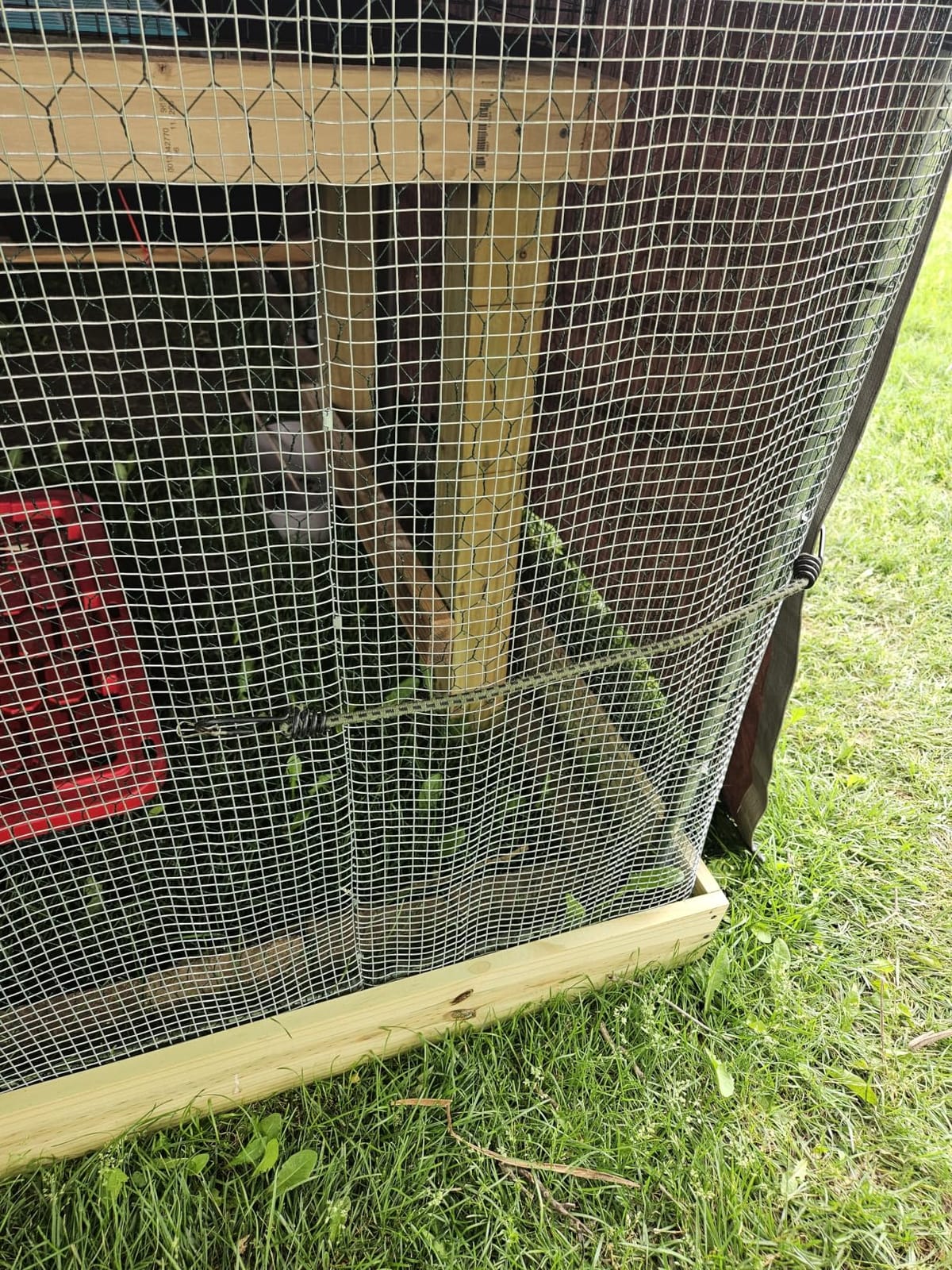 VEVOR Metal Chicken Coop, 6.56x6.56x6.56ft Large Walk-in Chicken Runs with Cover, Spire Roof Hen House Enclosure with Security Lock, Outdoor Duck Rabbit Cage Poultry Pen for Backyard, Farm, Yard customer photo 1