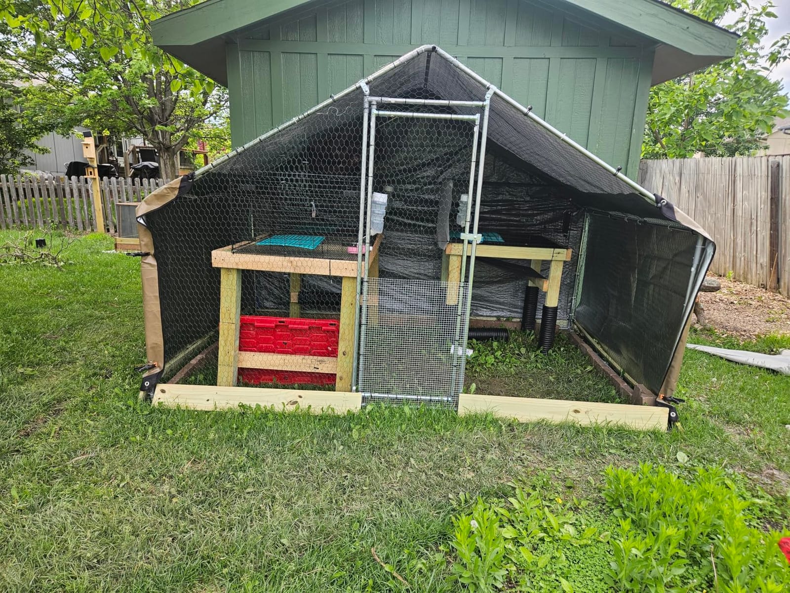 VEVOR Metal Chicken Coop, 6.56x6.56x6.56ft Large Walk-in Chicken Runs with Cover, Spire Roof Hen House Enclosure with Security Lock, Outdoor Duck Rabbit Cage Poultry Pen for Backyard, Farm, Yard customer photo 2