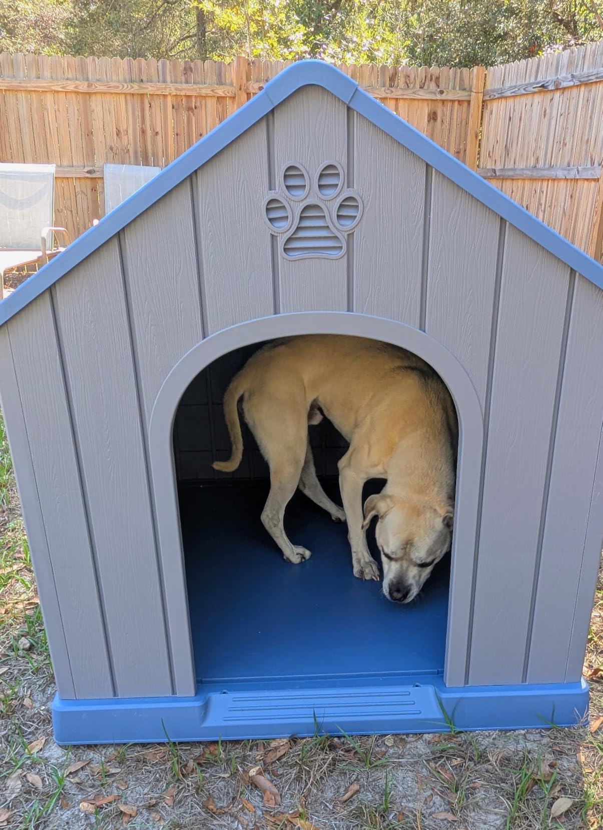 DRATO Large Dog House Indoor Outdoor, Blue, 38.62×36.26×38.07 in | Waterproof, Puppy Shelter with Air Vents and Elevated Floor, Sturdy Dog Kennel for Small to Large Sized Dogs customer photo 1