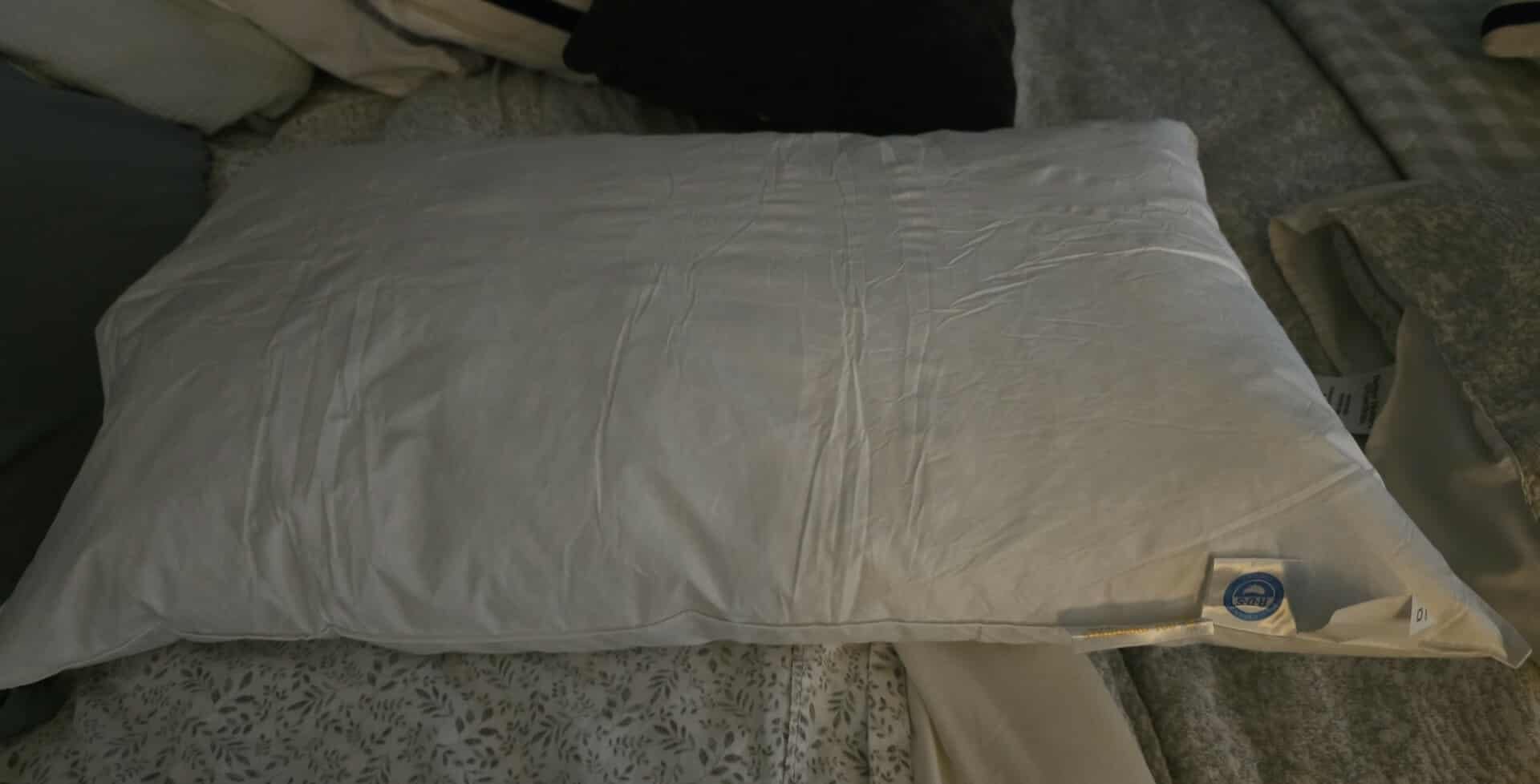Canadian Luxury Goose Down Pillow Queen Size - 900 Fill Power | 100% Cotton with Teflon Shell - Ultra Comfort Sleep Pillows - Bed Pillows for Back, Stomach (White, Pack of 1) customer photo 1