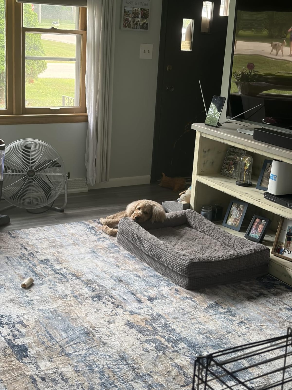 pmtsns Area Rugs 8x10 for Living Room: Washable Rug Modern Abstract Neutral Soft Non-Slip Low-Pile Indoor Large Carpet for Bedroom Dining Room Playroom Home Office (Blue Grey Brown, 8'x10') customer photo 2