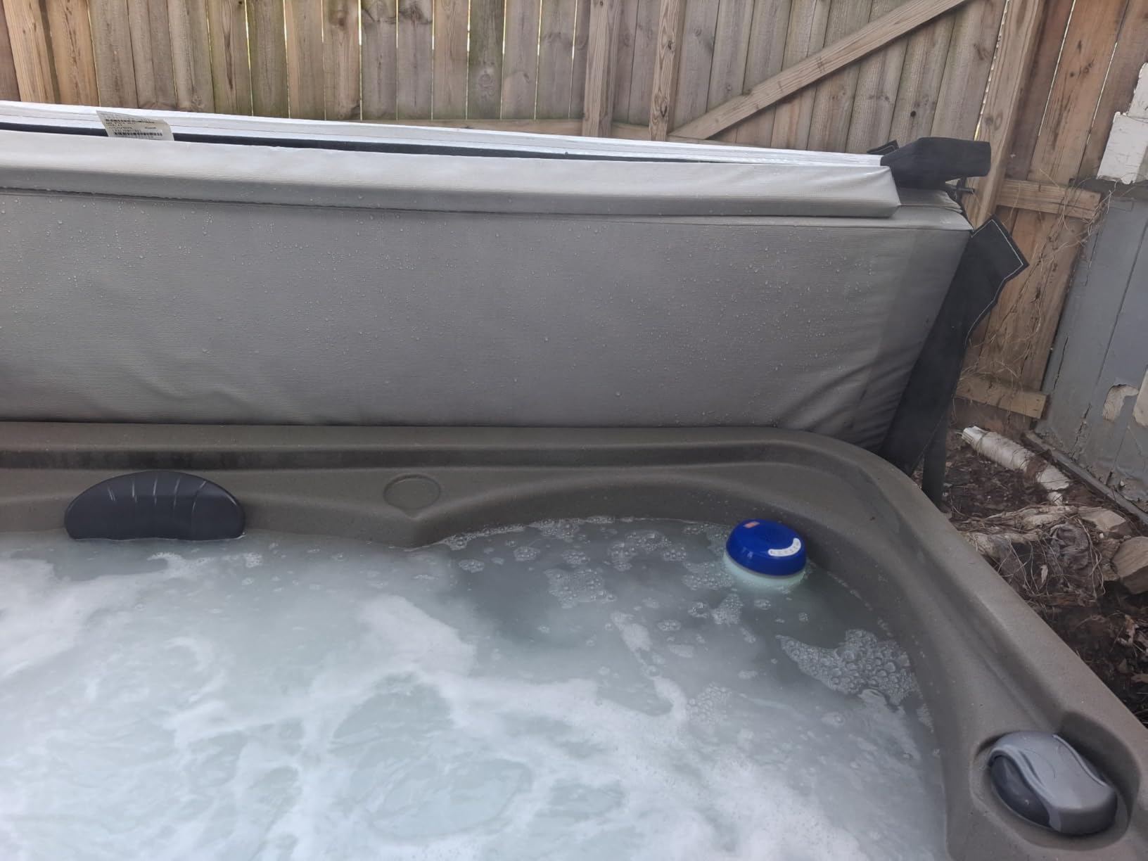 LanAqua 3 in 1 Bluetooth Pool Speaker,Floating Pool Speaker,Hot Tub Speaker customer photo 1