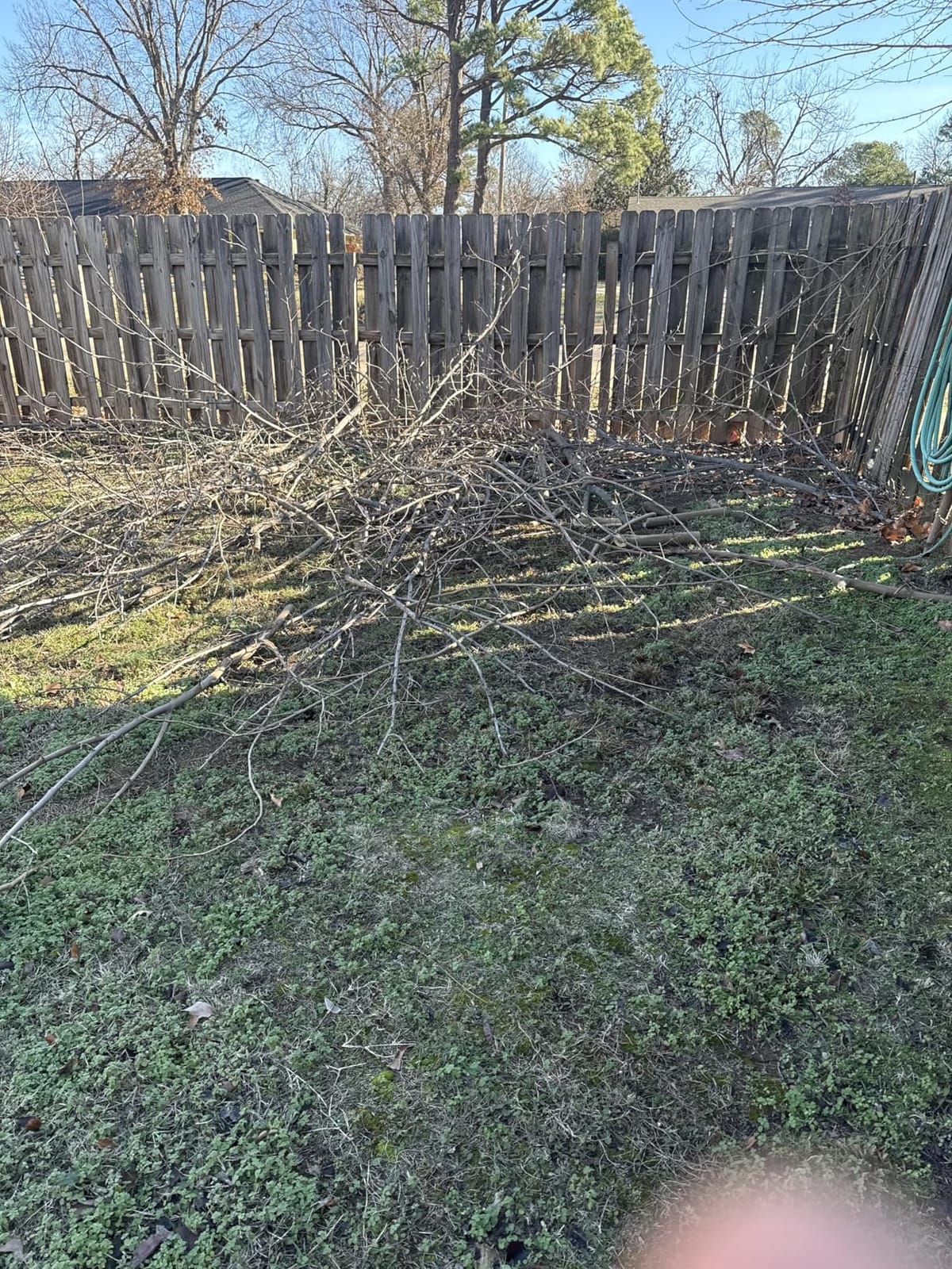 14.5FT Pole Saw with Adjustable Length for Tree Trimming, Lightweight Manual Pruning Saw with Mn Steel Blade, Long Extension Branch Cutter Pole Pruner for Yard, Garden, Patio & Forestry Use customer photo 1