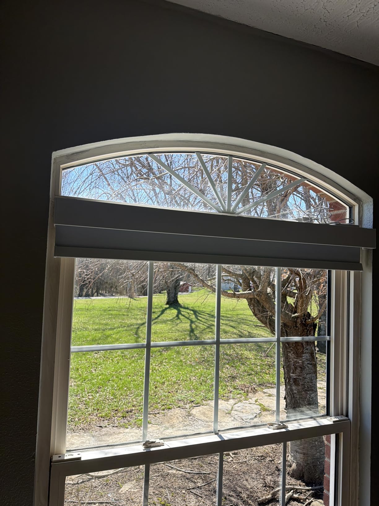 Smart Roller Shades for Windows, Works with Alexa, 72