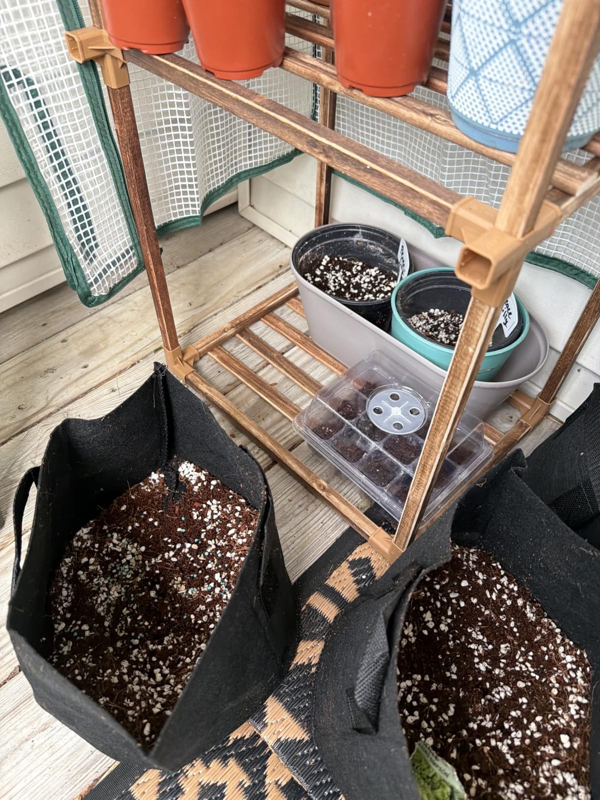 Bamworld Greenhouse for Outdoors Small Plant Green House 3-Tier Portable Plant Stand with Durable PE Cover for Seedling Ideal Gardening Gifts for Women Plants Lover customer photo 2