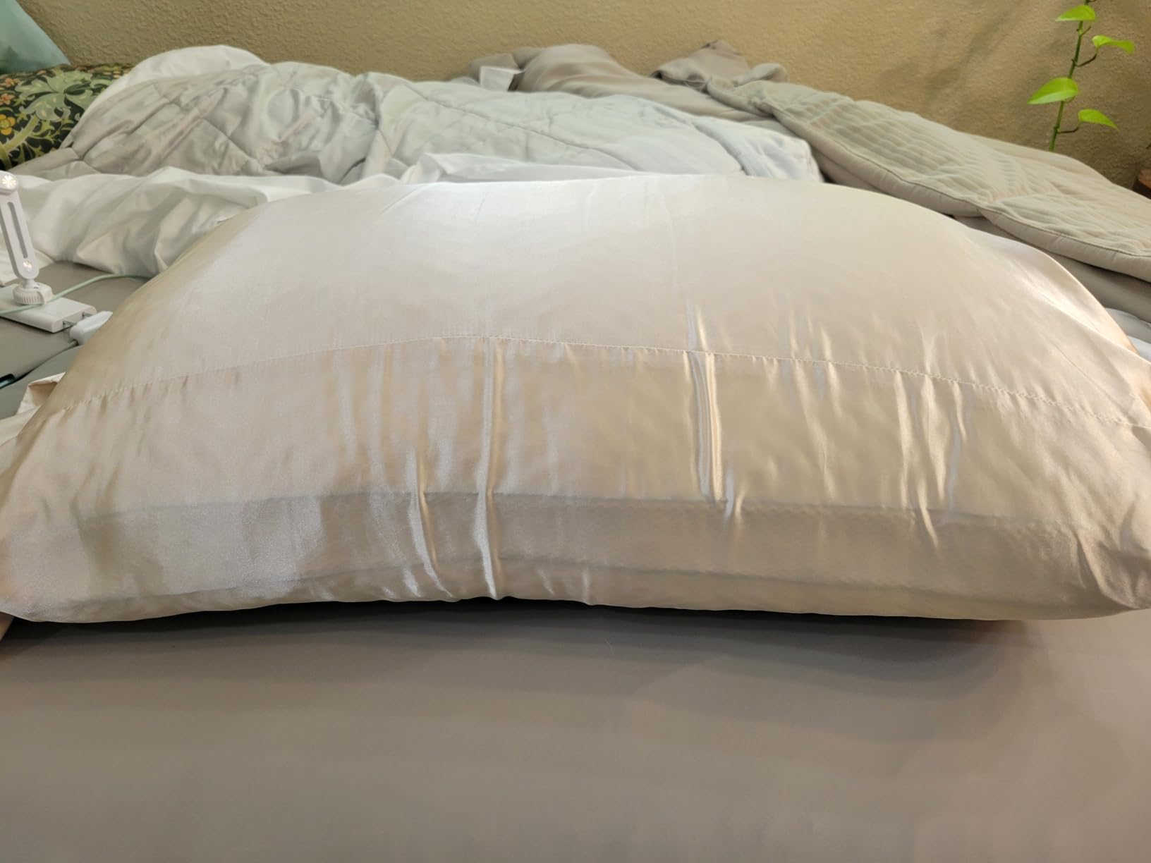 Premium Canadian Goose Down Pillow Standard Size Set of 2 Pack | 750+ Fill Power 100% Cotton Shell, Luxury Hotel Quality Bed Feather Pillow for Side Back Stomach Sleepers (White, 20