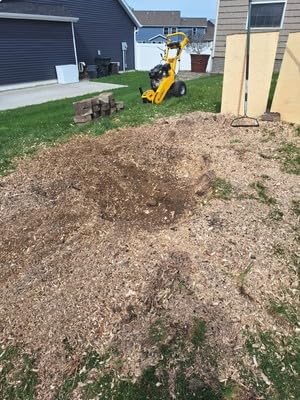 MechMaxx 12 Inch DUCAR 420cc 15HP Gasoline Engine Root Stump Grinder Tree Stump Removal, 8pcs Alloy Teeth, 12'' Cutting Height And 10'' Cutting Depth, Wheel Brake System, SGR1500 Yellow customer photo 2