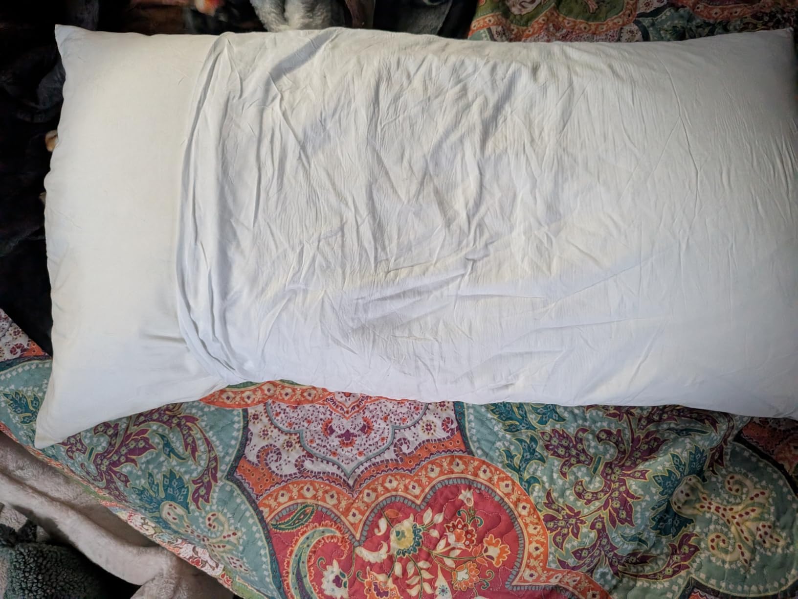 Naturepedic Down Pillow - Queen Size 750 Fill Power Feather Down Pillow for Sleeping - Bed Pillow with Non-Toxic, OCS-Certified Organic Cotton Fabric, 100% Real, Soft Duck Down for Hotel-Grade Luxury customer photo 2