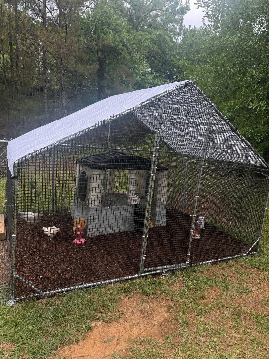 CAMMOO Walk in Chicken Coop, 9.8x6.6x6.6ft Chicken Run for Yard with Cover | Upgrade Double Lock & Mesh, Stainless Steel Ties, Easy Assembly, Chicken Pen for Ducks, Rabbits customer photo 1