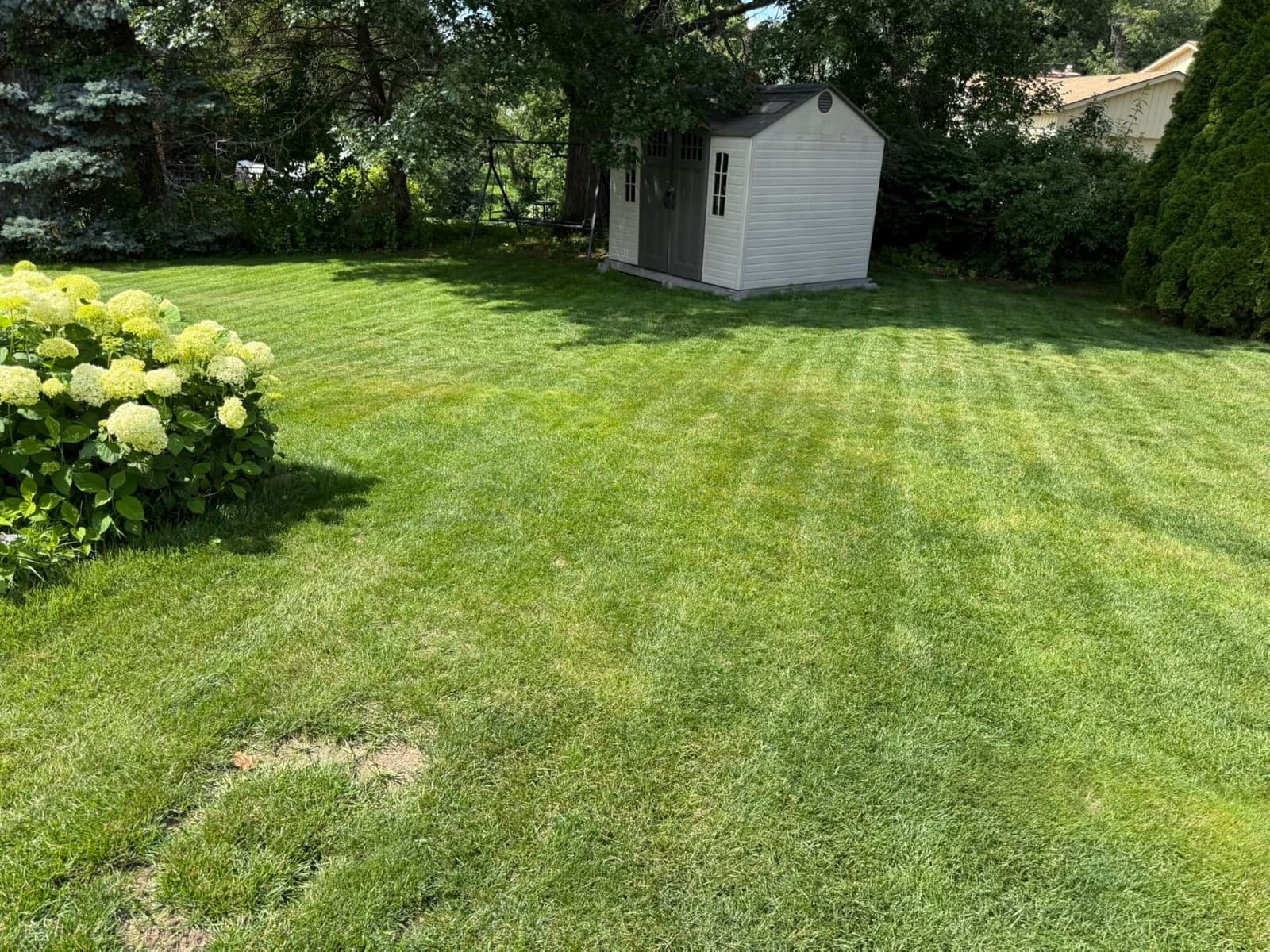 ECOVACS Goat A2000 LiDAR PRO Robot Lawn Mower, Dual LiDAR Navigation customer photo 1