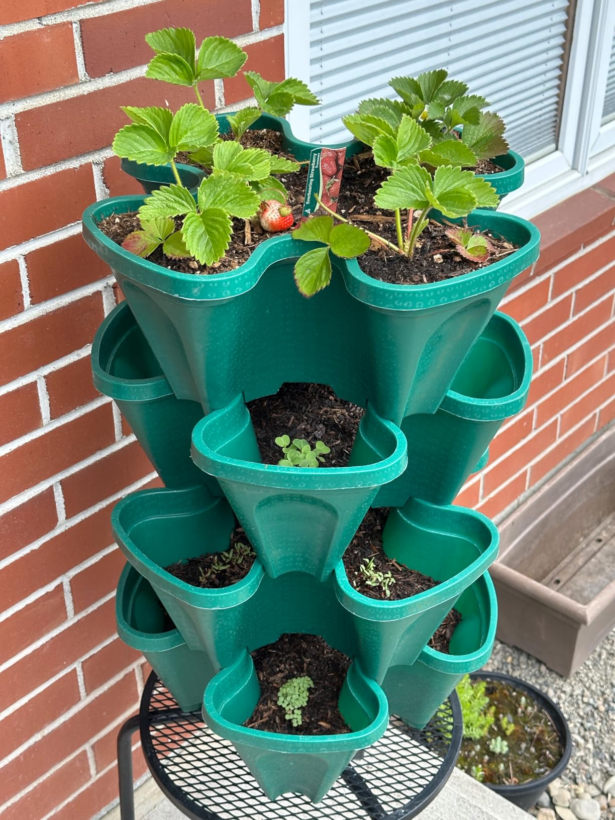 Large Vertical Planter Tower - 4 Tier Stackable Garden Planter, 16 Plant Sites, Commercial Grade Strawberry Planter, Heavy Duty Vertical Growing System with Center Support Hole (Deep Forest, Large) customer photo 1