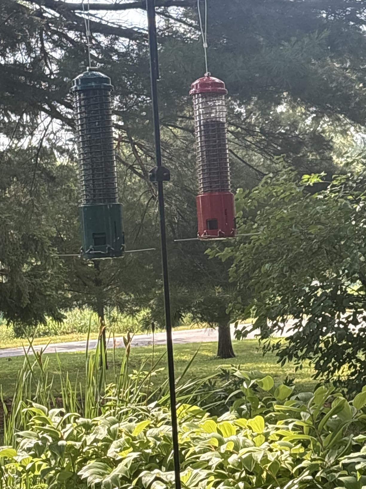 Squirrel Proof Bird Feeder, Metal Bird Feeders for Outdoors Hanging, 3.6LB Large Seeds Capacity for Wild Birds, Finch, Cardinal, Blue Jay, Chickadee, Green customer photo 2