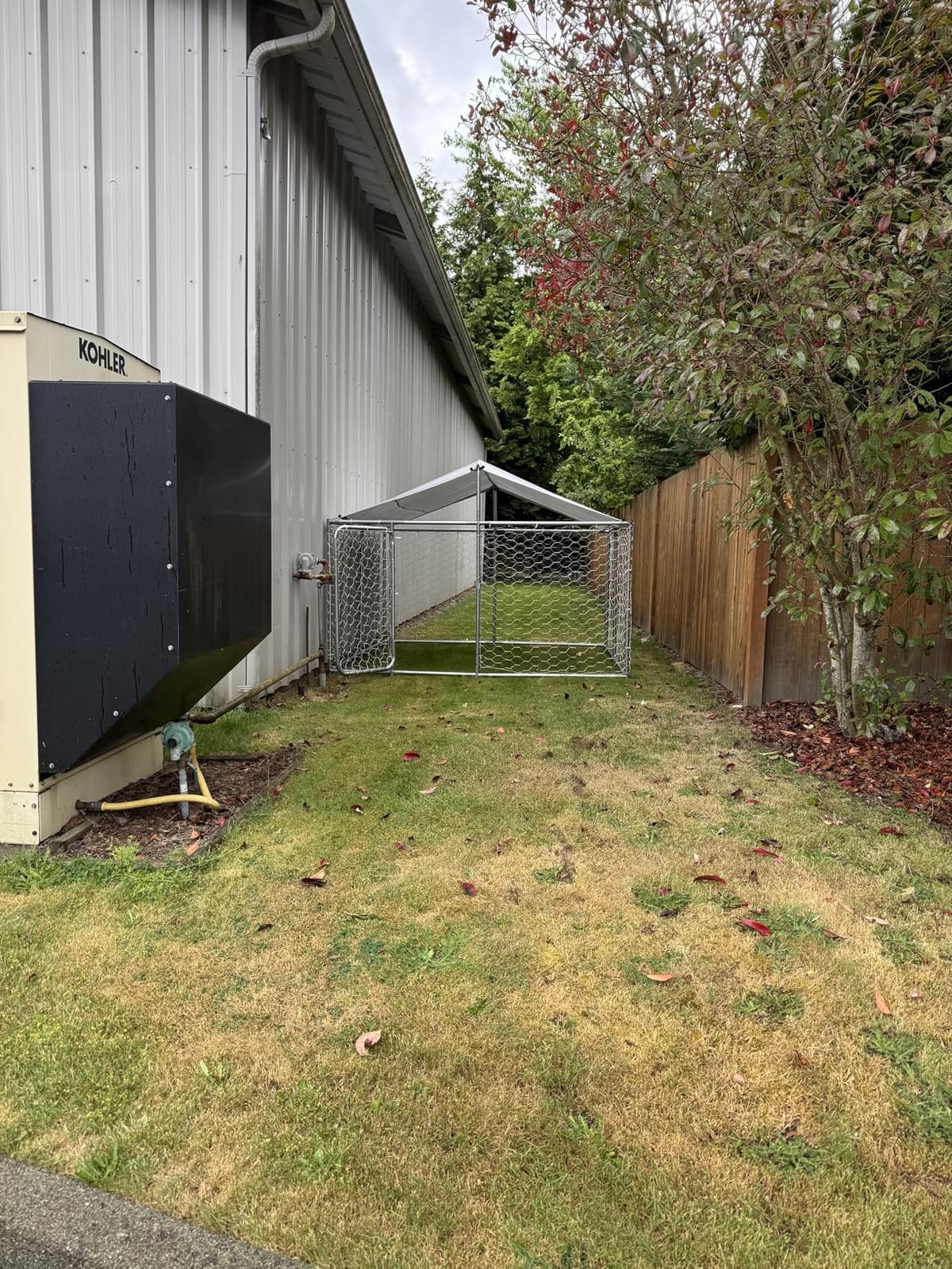 10x10x7.1 FT Large Outdoor Dog Kennel Outside, Heavy Duty Dog Run Enclosure | Waterproof Roof, Secure Lock, UV Resistant Metal Dog House for Garden, Patio & Backyard customer photo 2