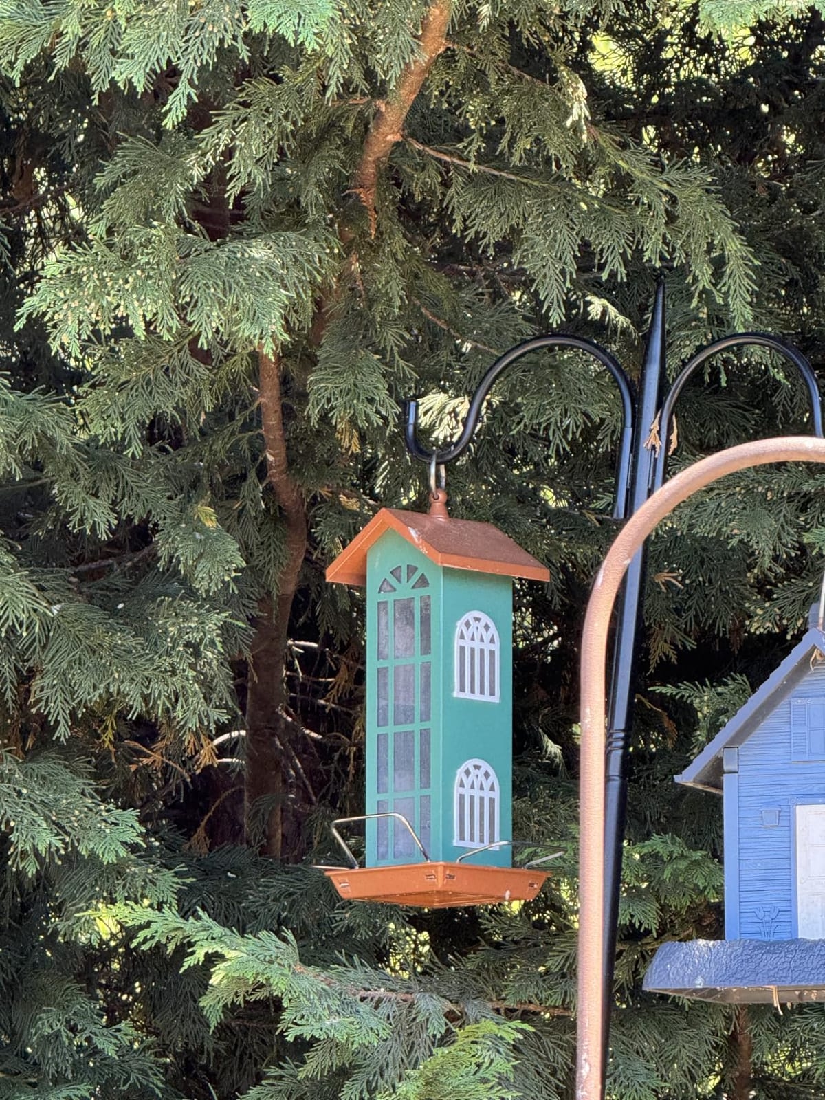 Metal Squirrel Proof Bird Feeders for Outdoors Hanging 5.5LB Lager Capacity | Super Large Size, Easy-Refill Top, Easy to Clean, Rust Resistant, Long Lasting, Waterproof customer photo 1
