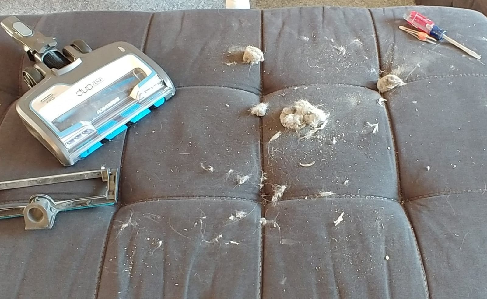 Shark PowerProâ„¢ Flex Pet Plus Cordless Vacuum, Tea Green, IZ388H customer photo 1