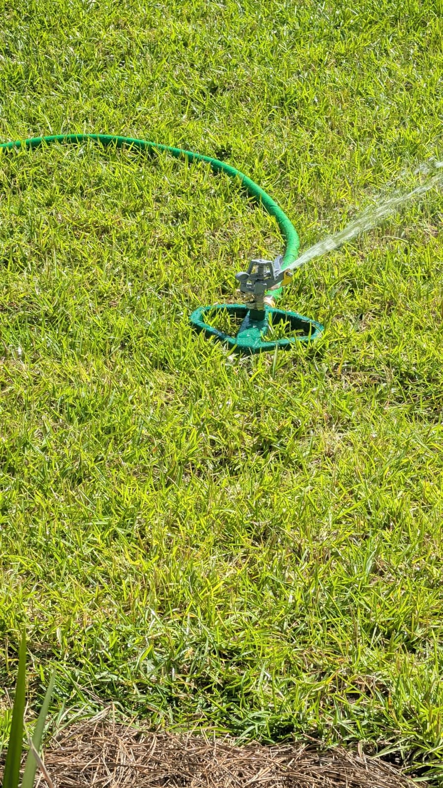 Heavy Duty Pulsating Impact Lawn Sprinkler 360° Adjustable Rotating Automatic Water Sprinkler for Yard with Metal Base, Large Area Irrigation Sprinkle for Garden, Covers Up to 4,500 Sq. Ft customer photo 2