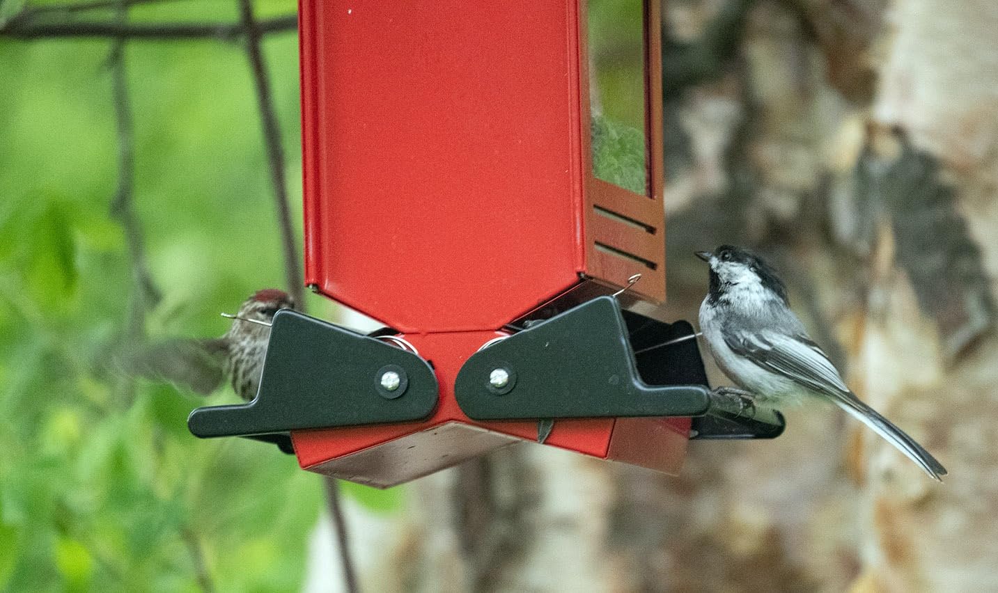 Squirrel Proof Metal Hanging Bird Feeder for Outdoors, 5LB | Weight-Activated, Easy to Fill & Clean, Cardinals & Finches, Wild Bird Feeder, Heavy Duty customer photo 1