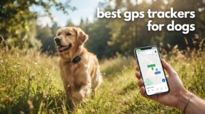 best gps trackers for dogs