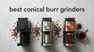 best conical burr grinders