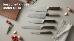 best chef knives under $100
