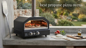 best propane pizza ovens