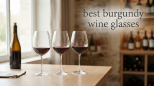 best burgundy wine glasses