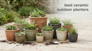 best ceramic outdoor planters