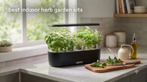 best indoor herb garden kits