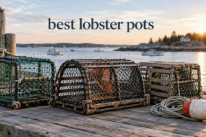 best lobster pots
