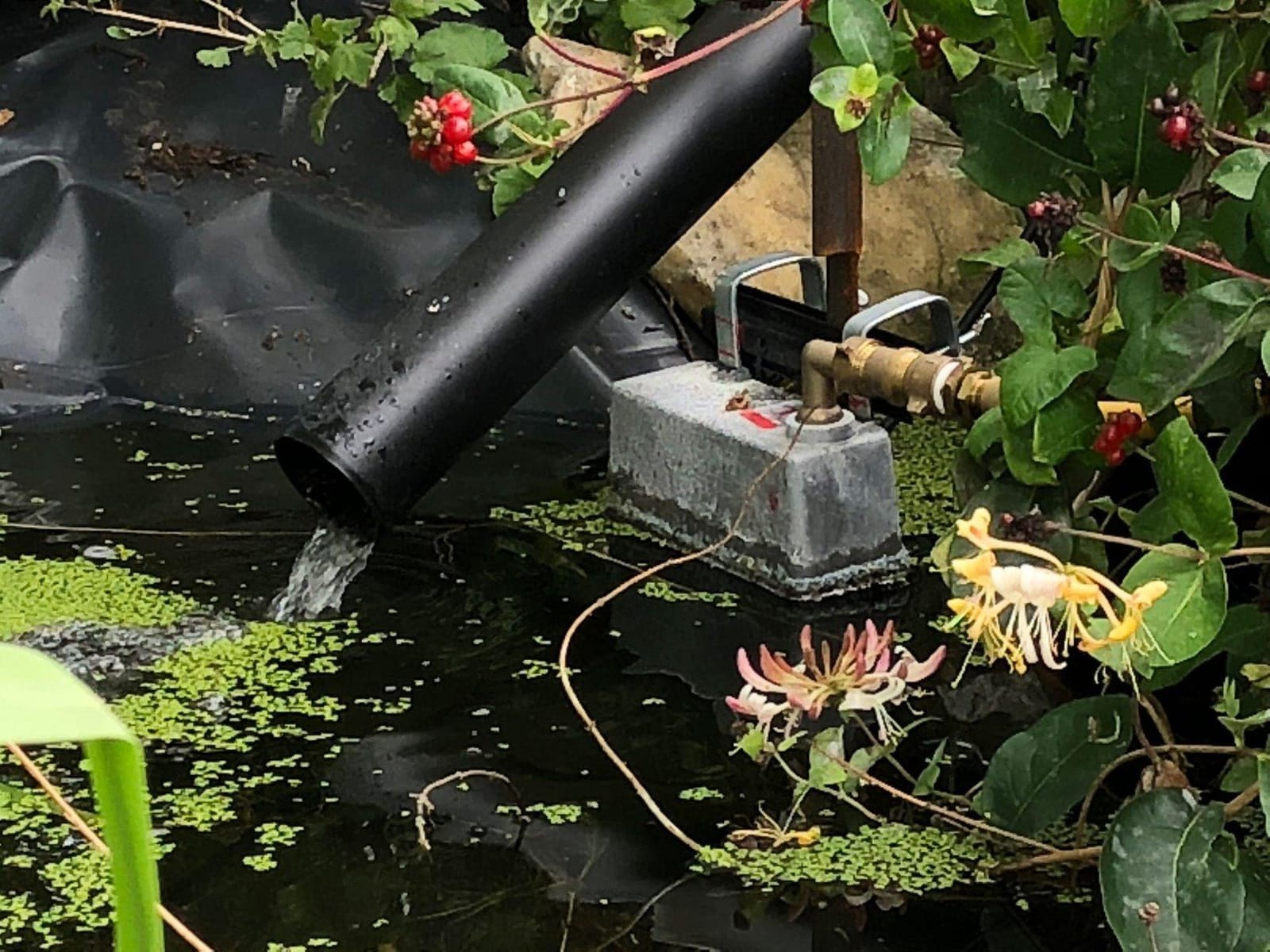 Little Giant® Trough-O-Matic® Stock Water Tank | Float Valve Controlled Watering Tank with Aluminum Housing | Made In USA customer photo 1