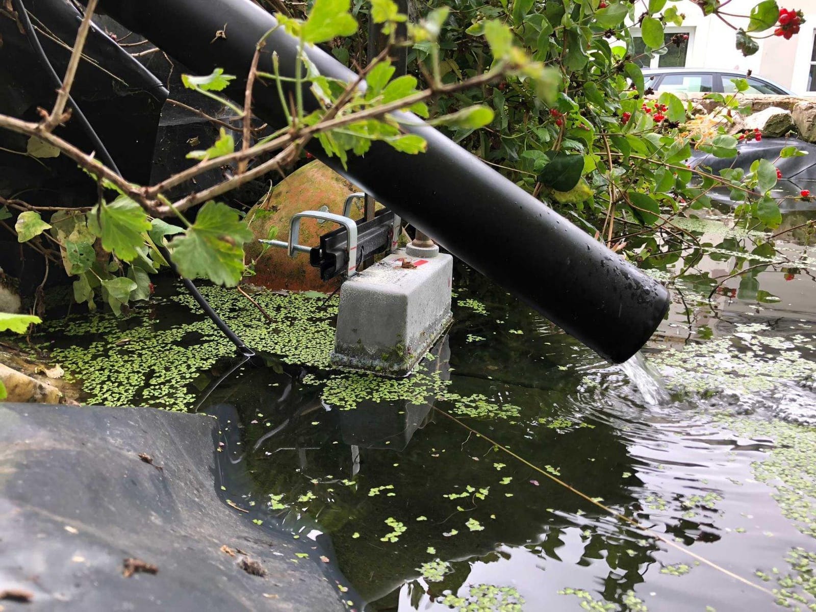 Little Giant® Trough-O-Matic® Stock Water Tank | Float Valve Controlled Watering Tank with Aluminum Housing | Made In USA customer photo 2