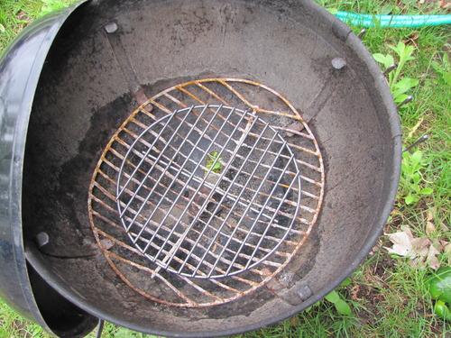 Weber® Replacement Charcoal Grate – 10.5
