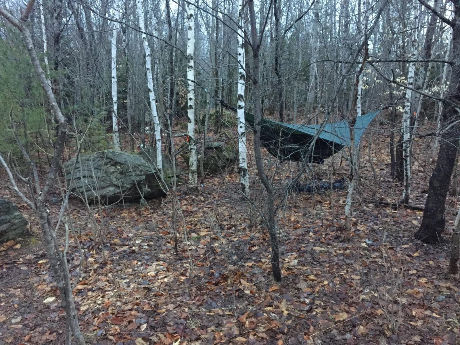 Hennessy Hammock - Expedition Classic customer photo 2