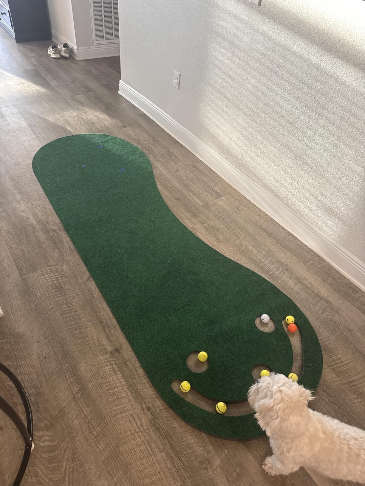 PUTT-A-BOUT Par Three Golf Putting Green (3' x 9') customer photo 1