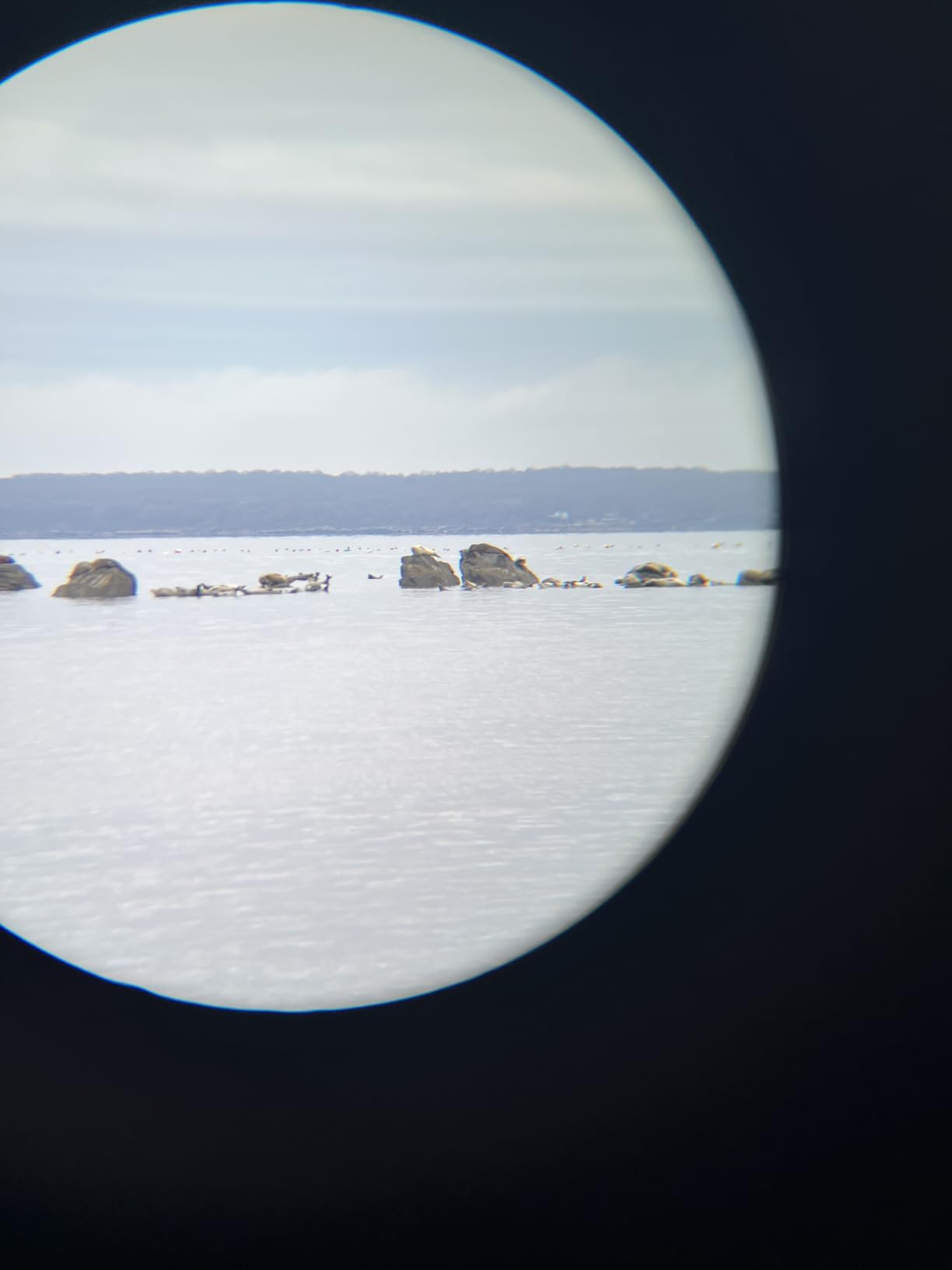 Vortex Solo Monocular 10x25 customer photo 1