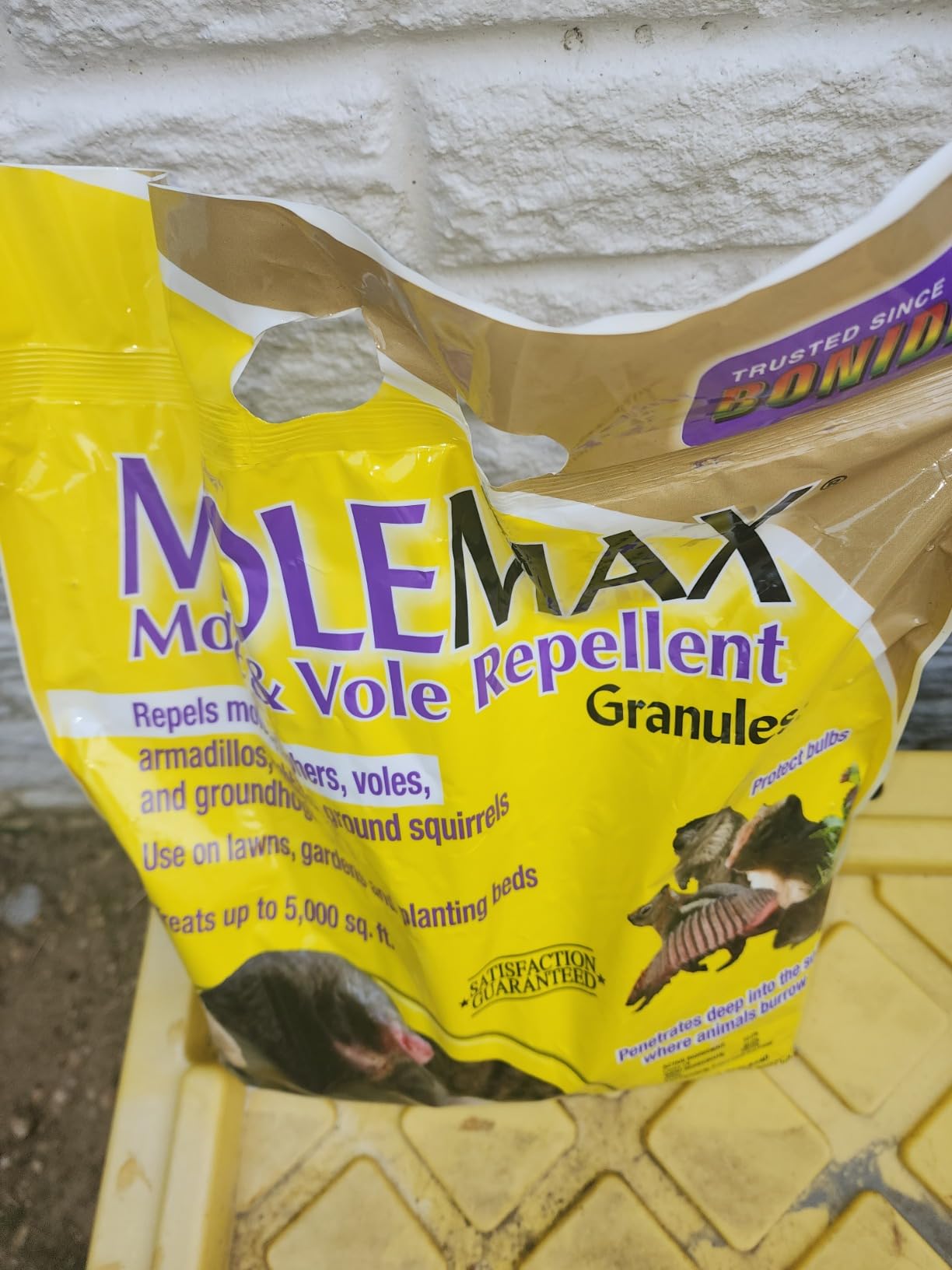 Bonide MOLEMAX Mole & Vole Repellent Granules, 10 lbs. Ready-to-Use, Outdoor Lawn & Garden Mole Control, People & Pet Safe customer photo 1