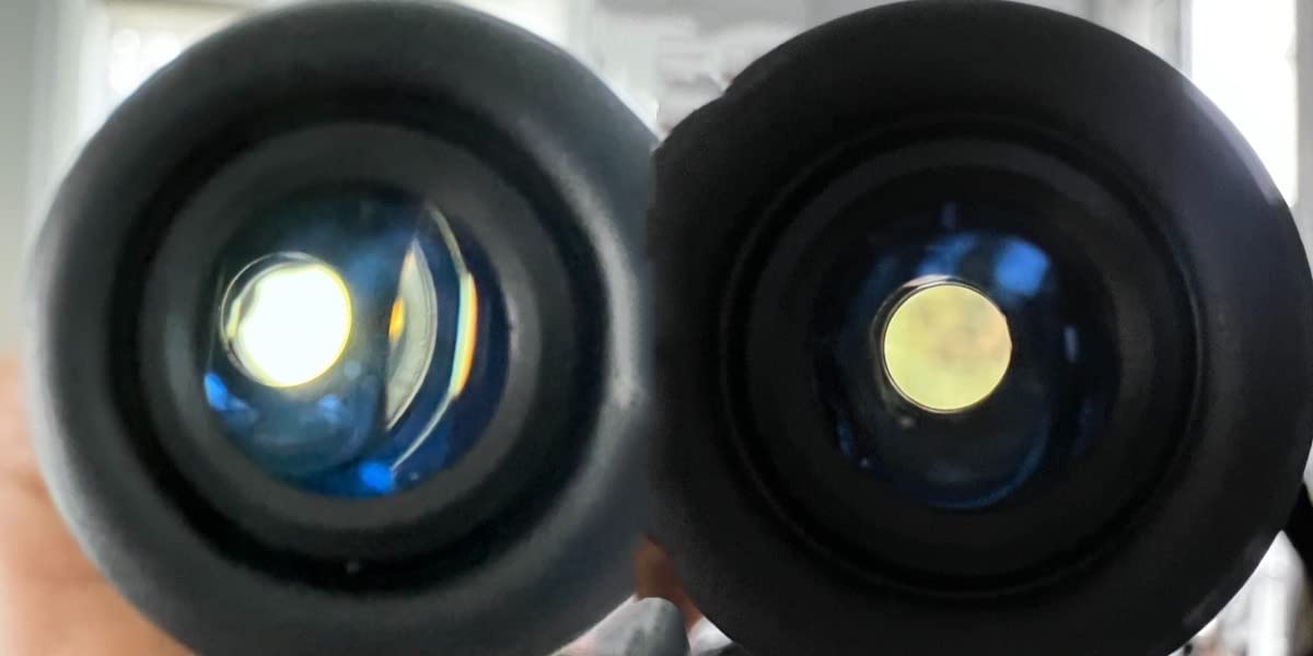 Celestron Outland X 10x42 Binoculars for Wildlife & Hunting customer photo 1