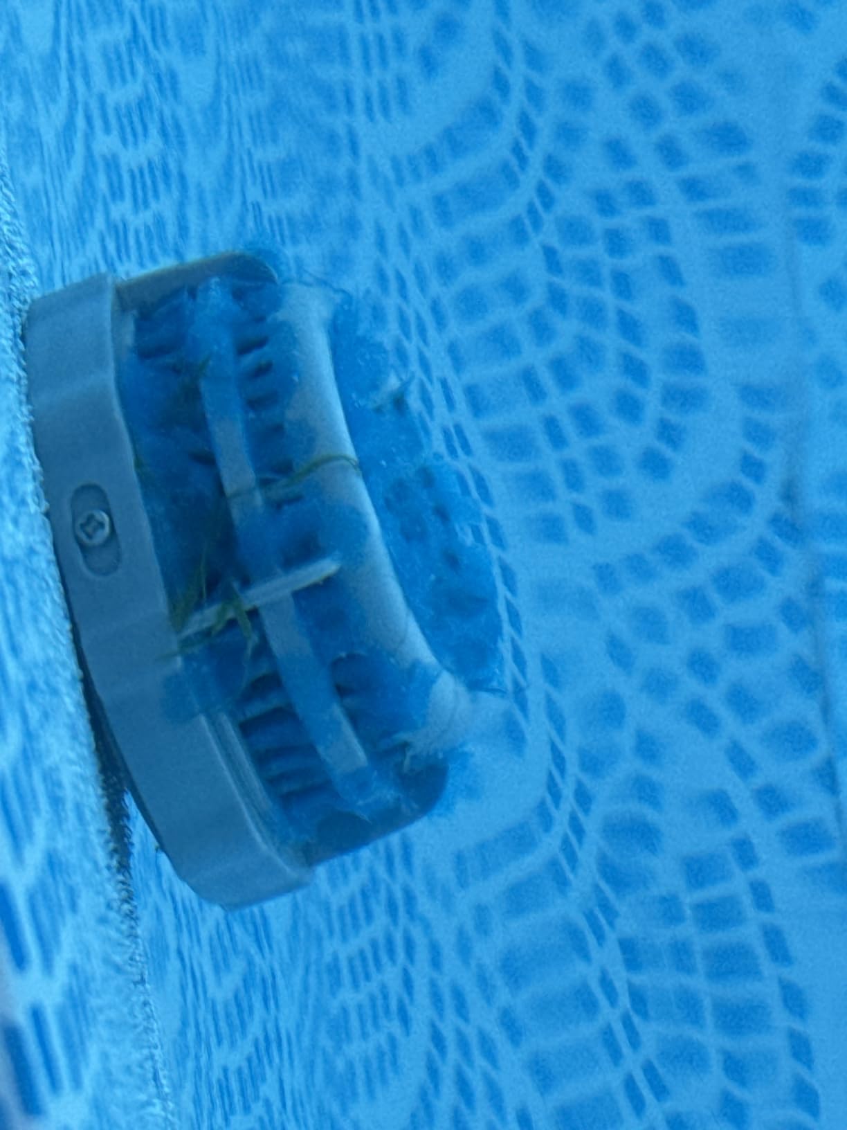 INTEX 28014E Solar Pool Cover: for 16ft Round Easy Set and Metal Frame Pools – Insulates Pool Water – Reduces Water Evaporation – Keeps Debris Out – Reduces Chemical Consumption customer photo 2