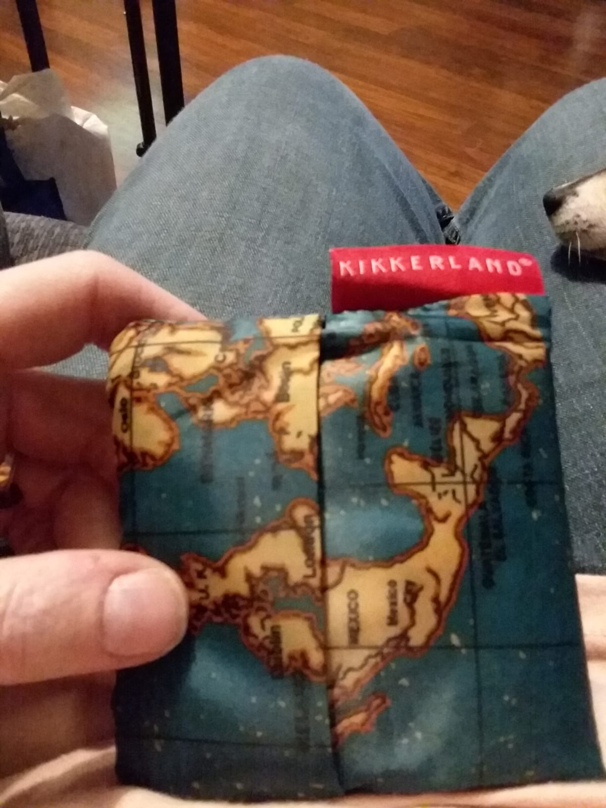 Kikkerland Travel-Size Laundry Bag, World Map Design Heavy Duty Laundry Bag, Polyester, Built-in Pouch, Inner Loop and Carabineer, Multicolor customer photo 1
