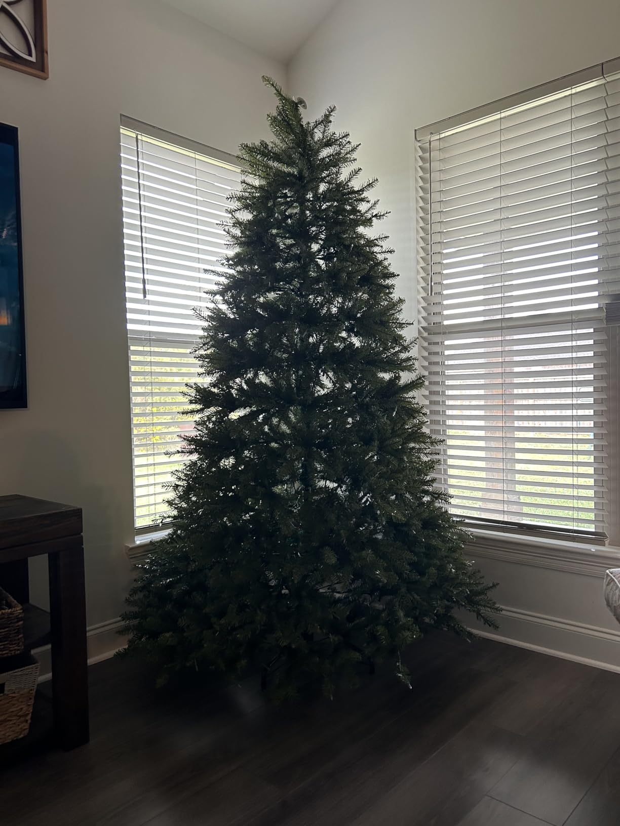National Tree Dunhill Fir customer photo 2