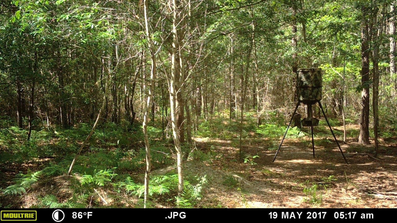 Wildgame Innovations Quick-Set 270 lb Game Feeder customer photo 1