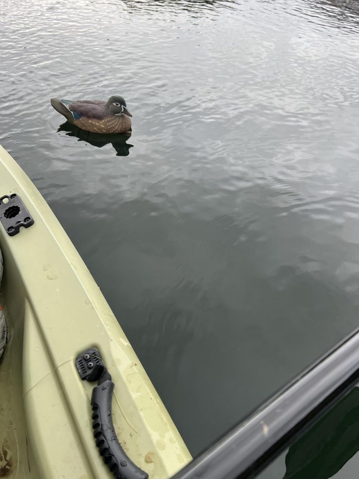 Avian X Topflight Realistic Floating Wood Duck Decoys with Weight-Forward Swim Keel, Set of 6 (Multicolor) customer photo 1