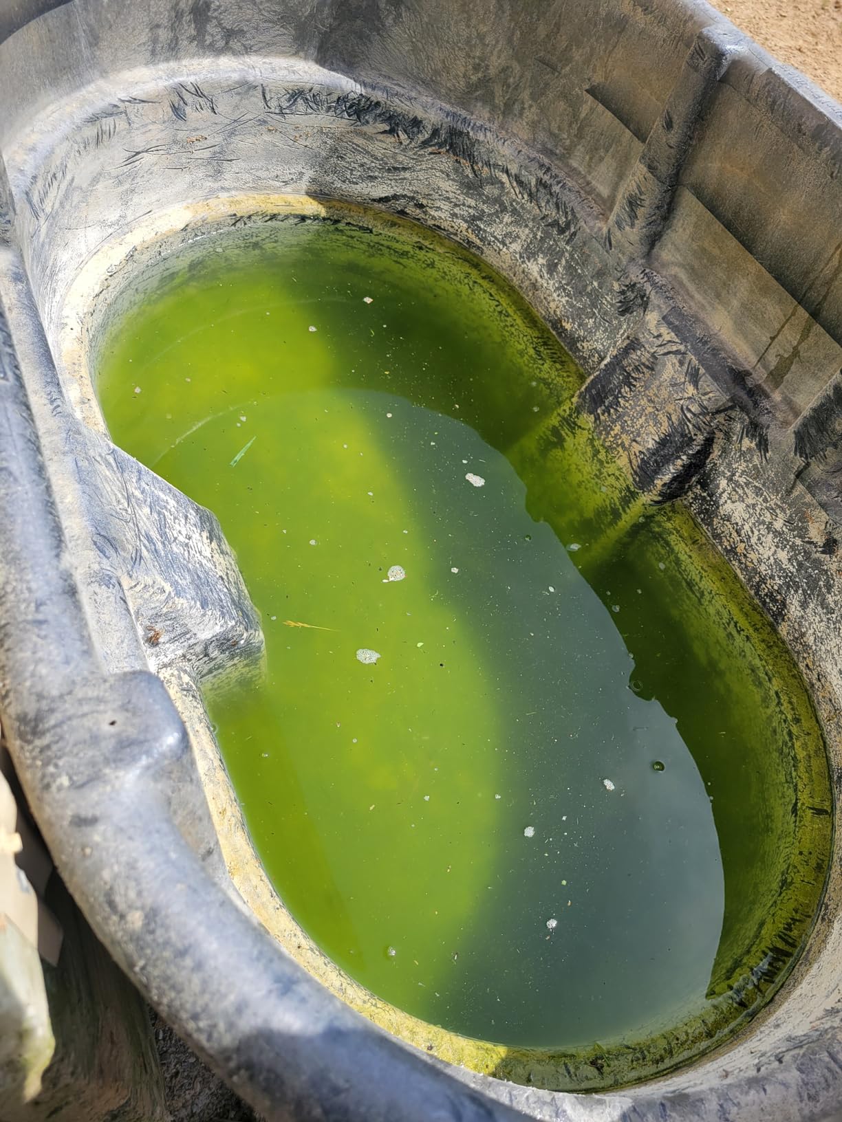 Airmax Stock Tank Defense Livestock Water Trough Cleaner Treatment, 24 Tabs customer photo 2