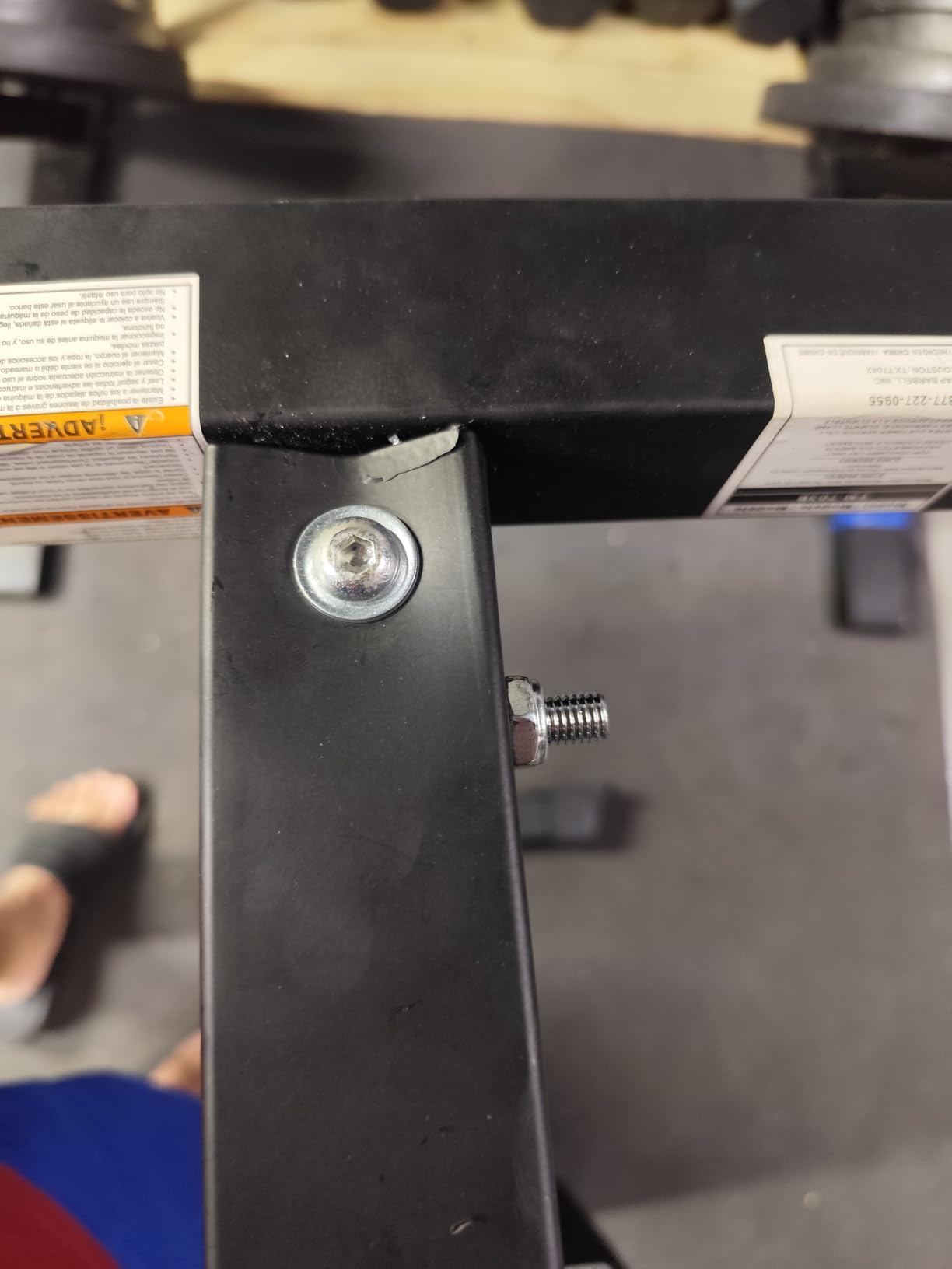 CAP Barbell Flat Weight Bench Color Series customer photo 1