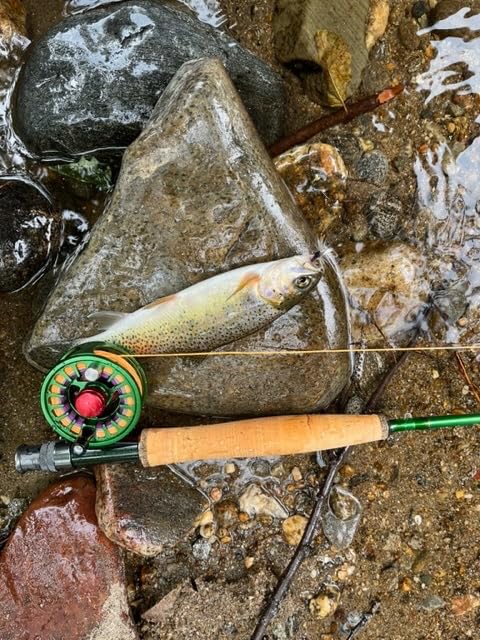 Maxcatch AVID Fly Fishing Reel with CNC-machined Aluminum Body - 1/3, 3/4, 5/6, 7/8, 9/10 Weights(Black, Green, Blue) customer photo 2