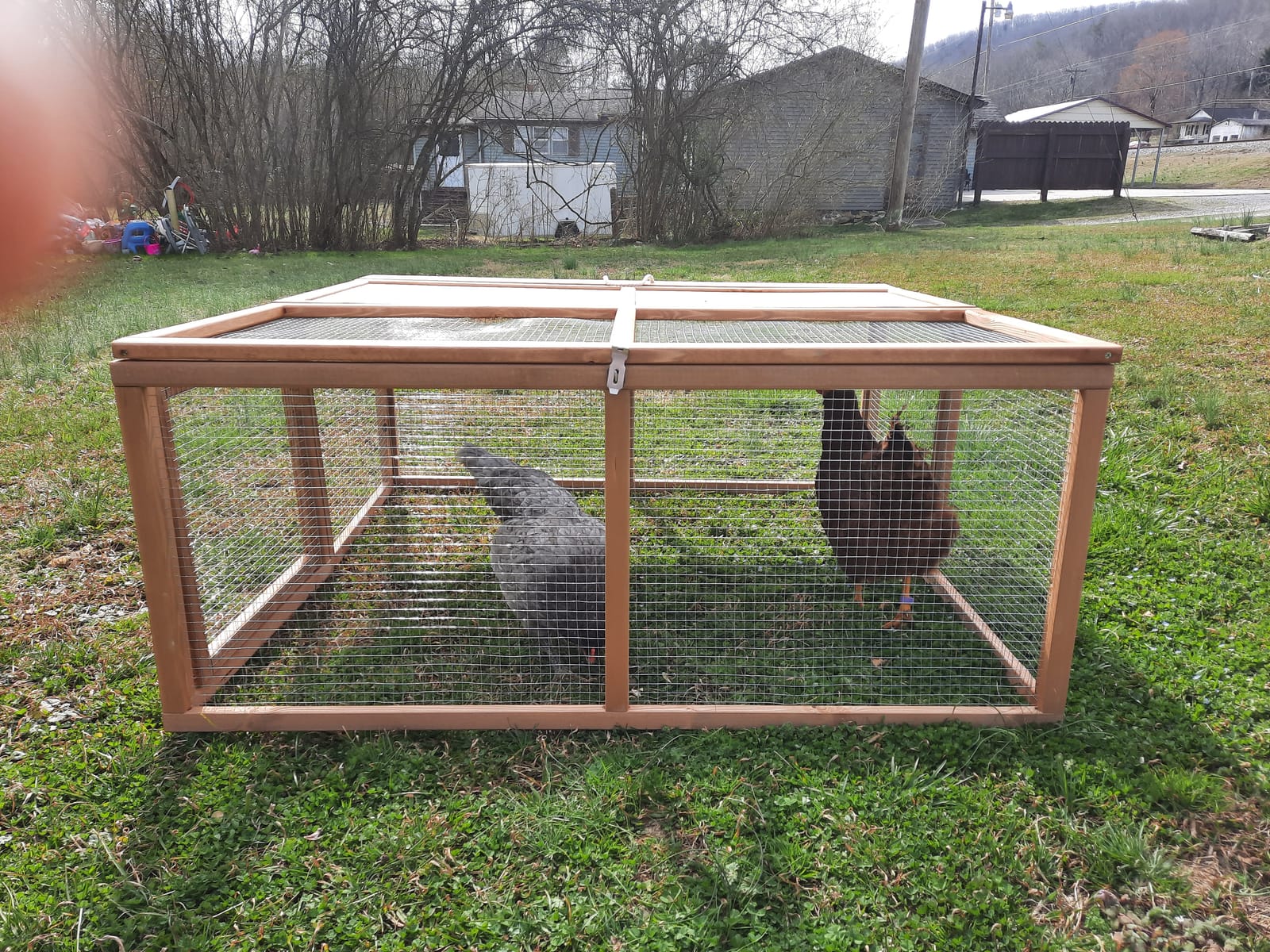 Magshion Folding Chicken Coop Rabbit Hutch, Portable Chicken House with Handle Wooden Small Animal Poultry Pet Cage House for Outdoor, 45.5 Inch, No Assembly Required customer photo 2