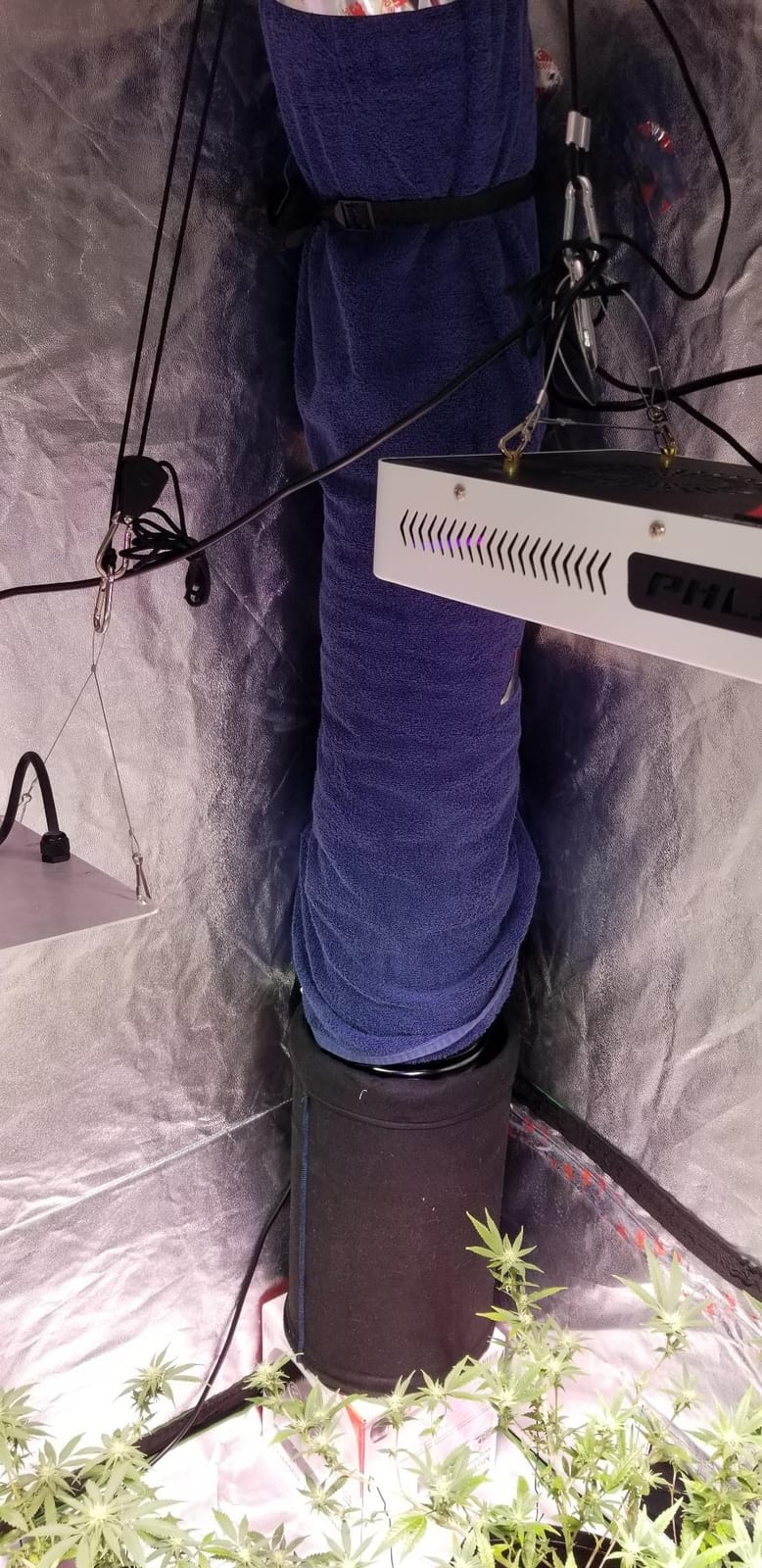 TerraBloom 8 Inch (200 mm) Inline Fan - 735 CFM Exhaust Duct Fan, Built-In Speed Controller, ETL Listed, Pre-Wired 6 FT Grounded Cord - For Use In Grow Tents With Carbon Filters, Fixtures, Attics customer photo 1